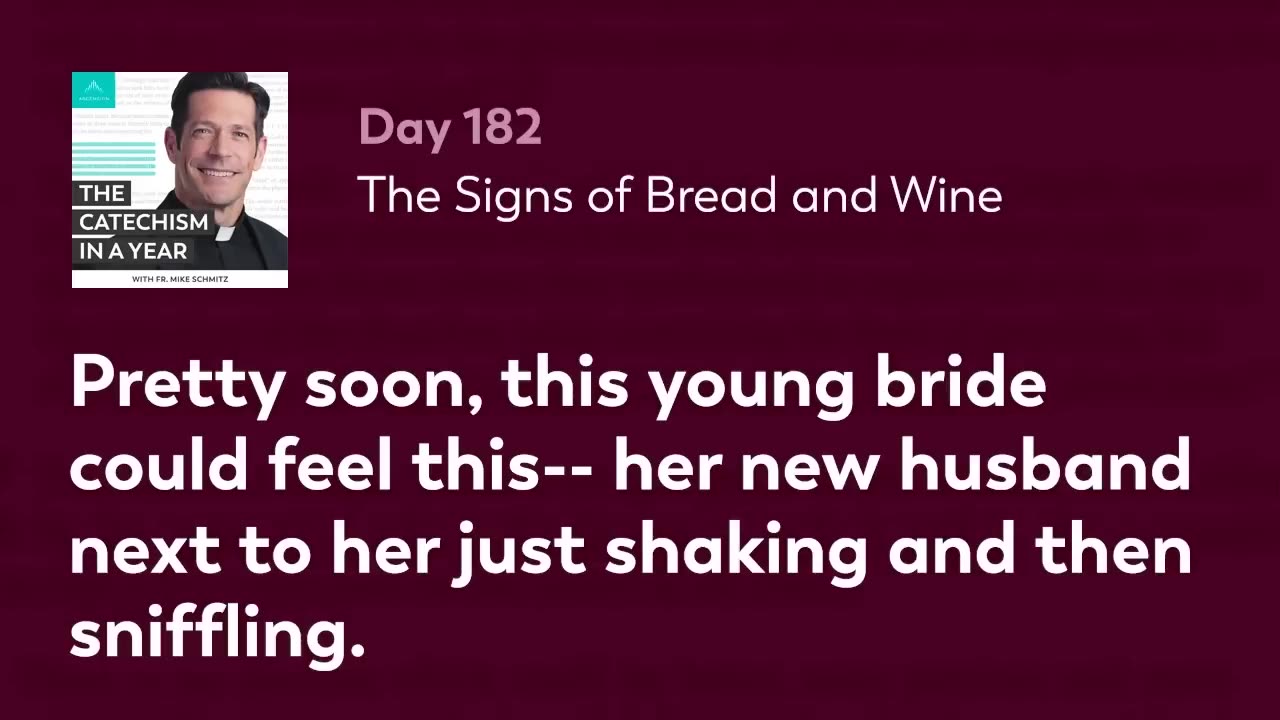 Day 182: The Signs of Bread and Wine — The Catechism in a Year (with Fr. Mike Schmitz)