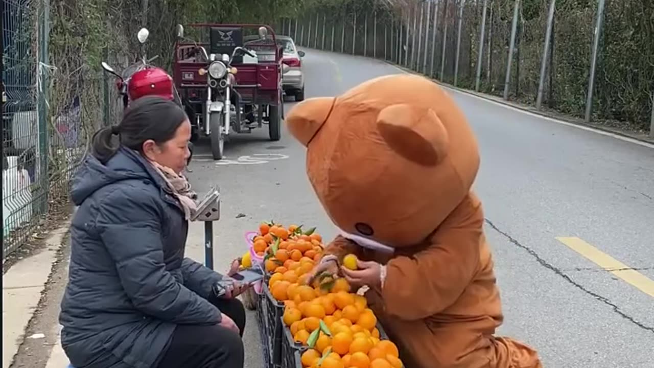 Chinese very Funny Pipi Bear Videos 2023