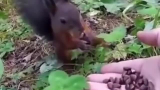 How to eat, suddenly do not smell it