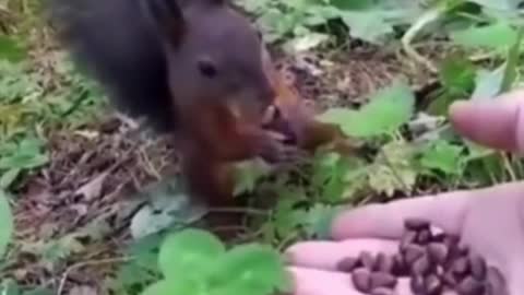 How to eat, suddenly do not smell it