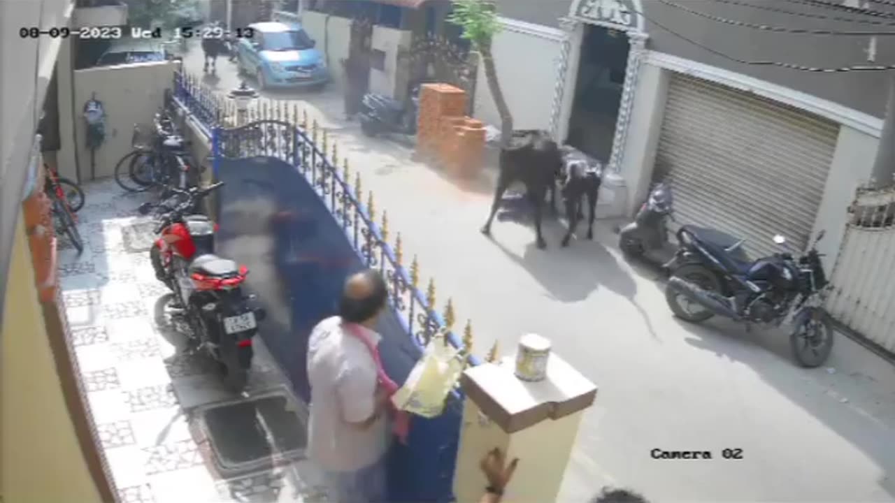 Cow attack on baby girlcow attack a baby girl🙁🙁🥺🥺🥺#shorts #ytshorts#shortsviral