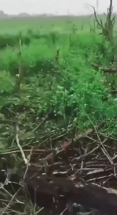 Ukrainians Repel a Russian Attack Near Adivka