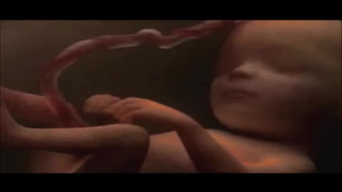 Taste&See #64 Clip from "NOW I LIVE" Vessel of Honor