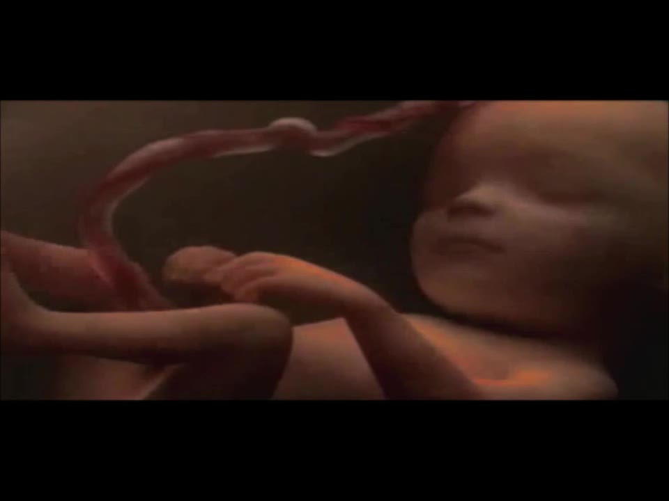 Taste&See #64 Clip from "NOW I LIVE" Vessel of Honor
