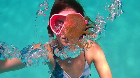 Jellyfish Rolled by Bubble Ring