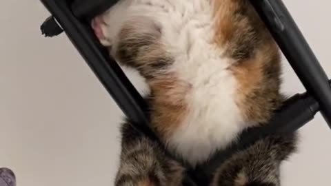 Just hanging around?