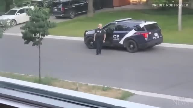 WATCH: Wild turkey faces off against Canadian police officer