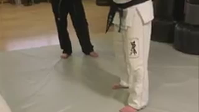 Hapkido