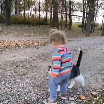 Lovely little girl playing with a sweet cat, kissing and talking to him