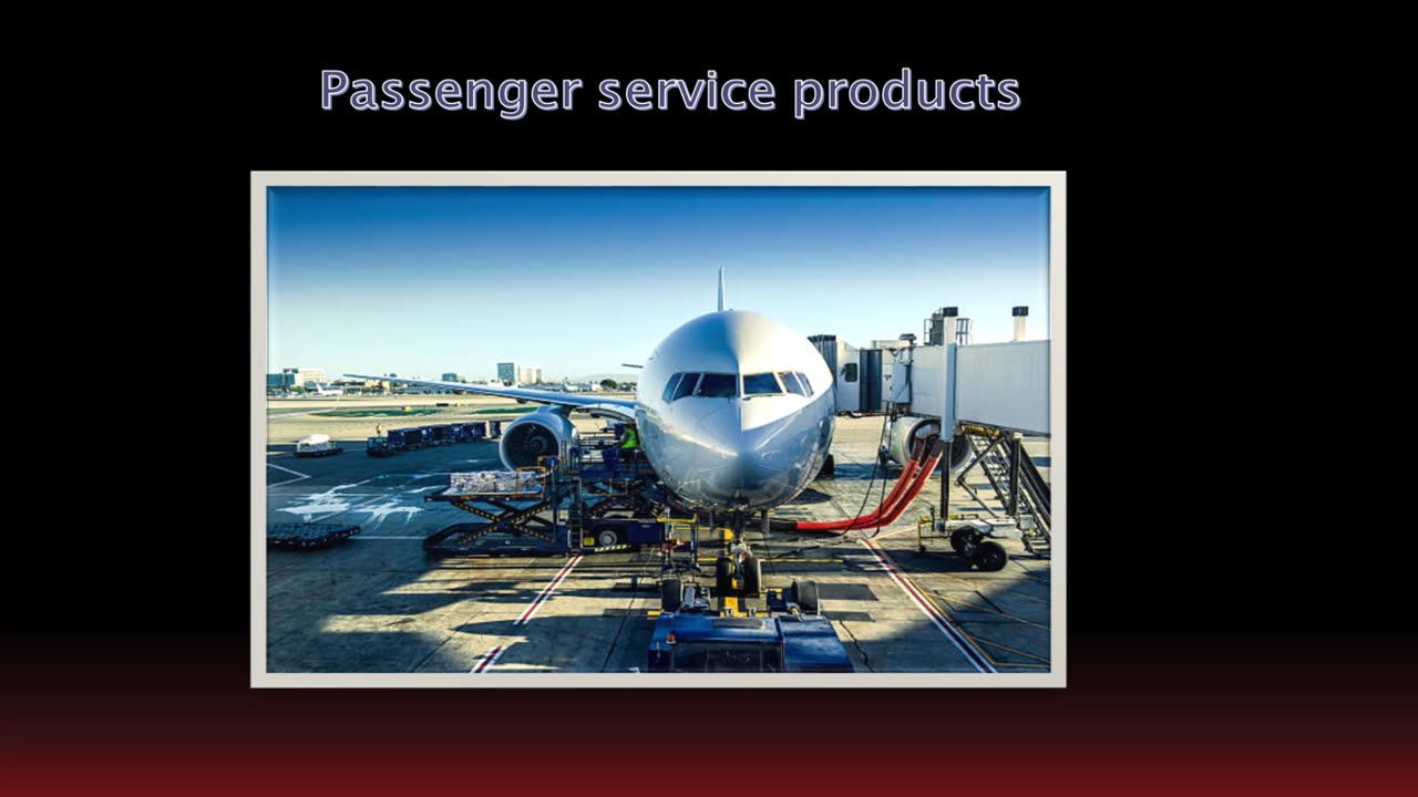 What Is Actually The Airline Traveler Service Products Company's Objective And Concept?