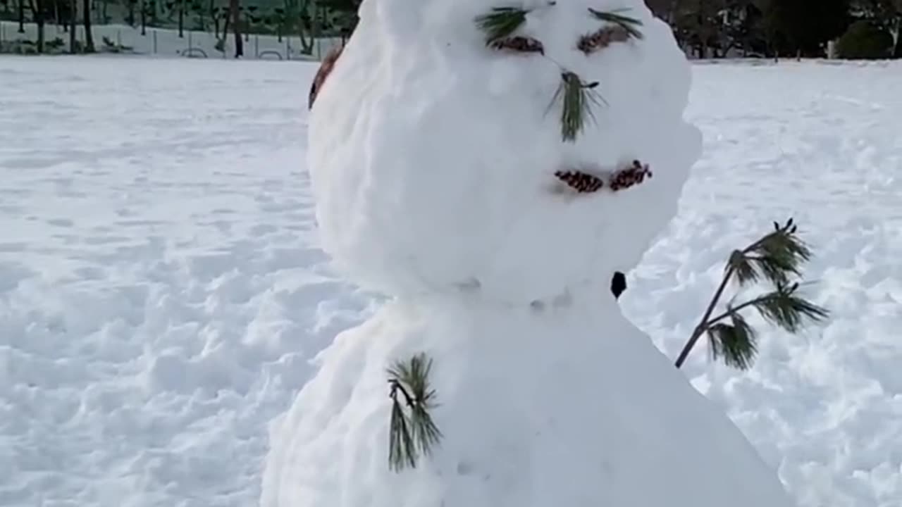 Enjoy snow