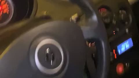 Driver Freaked Out by Spider on Steering Wheel