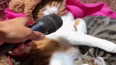 😍 The Cutest Pets: A Compilation You Need to See! Part5