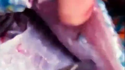 Amazing Blue Fish Cutting