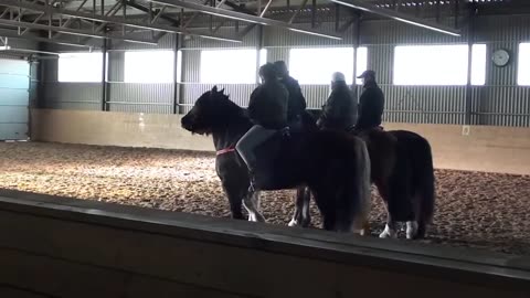 ARJC trening på Folkenborg ridesenter 31 januar 2016