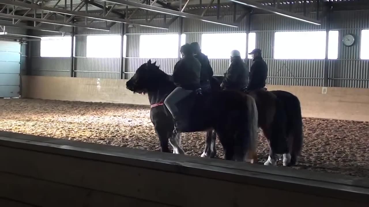 ARJC trening på Folkenborg ridesenter 31 januar 2016