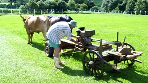 Redneck Lawn Mower