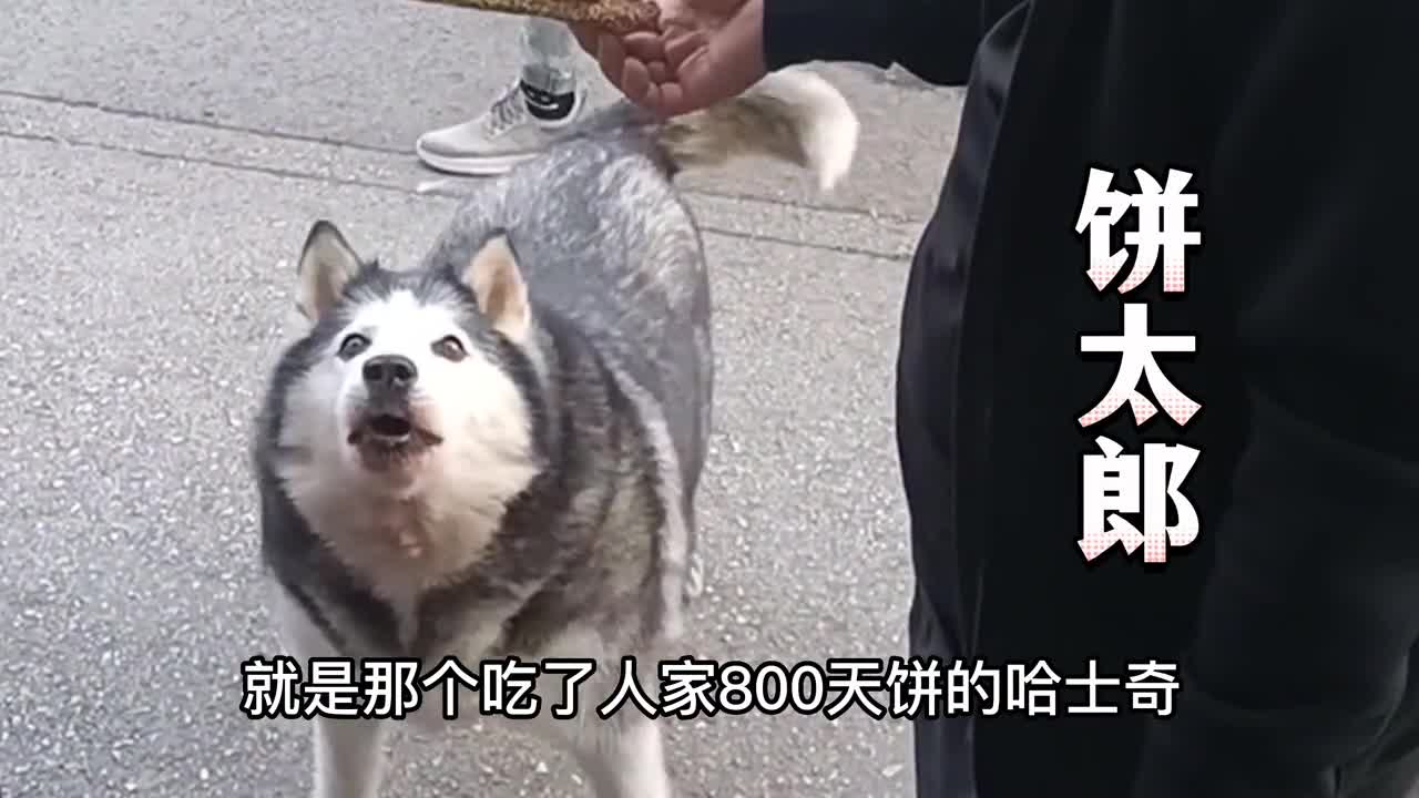 This guy is a real winner