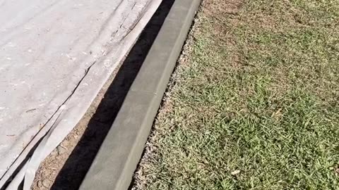 Cool ideas for your garden