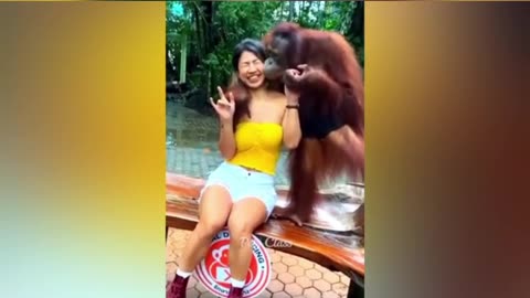 Small puppy and chimpanzee fun with a girl . See what the happened next