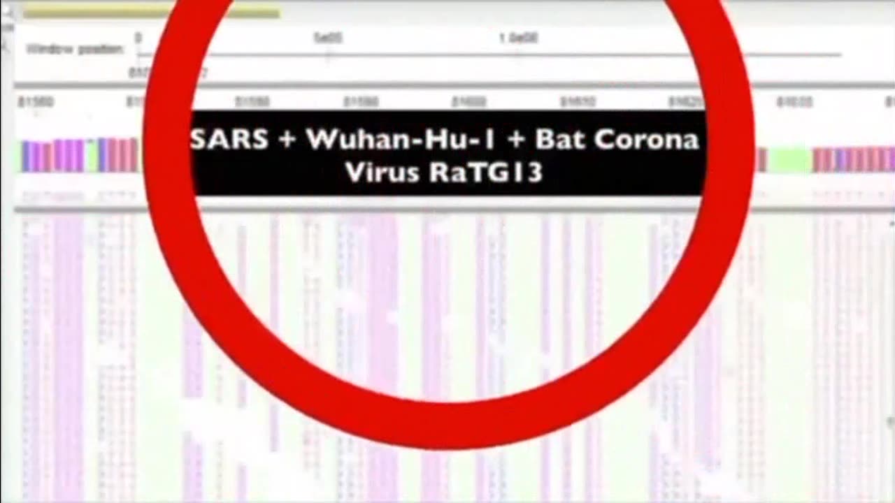 Virus Myth Busted in 19 Minutes