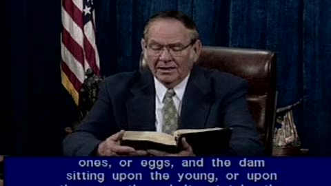 Deuteronomy 22.1-22.27