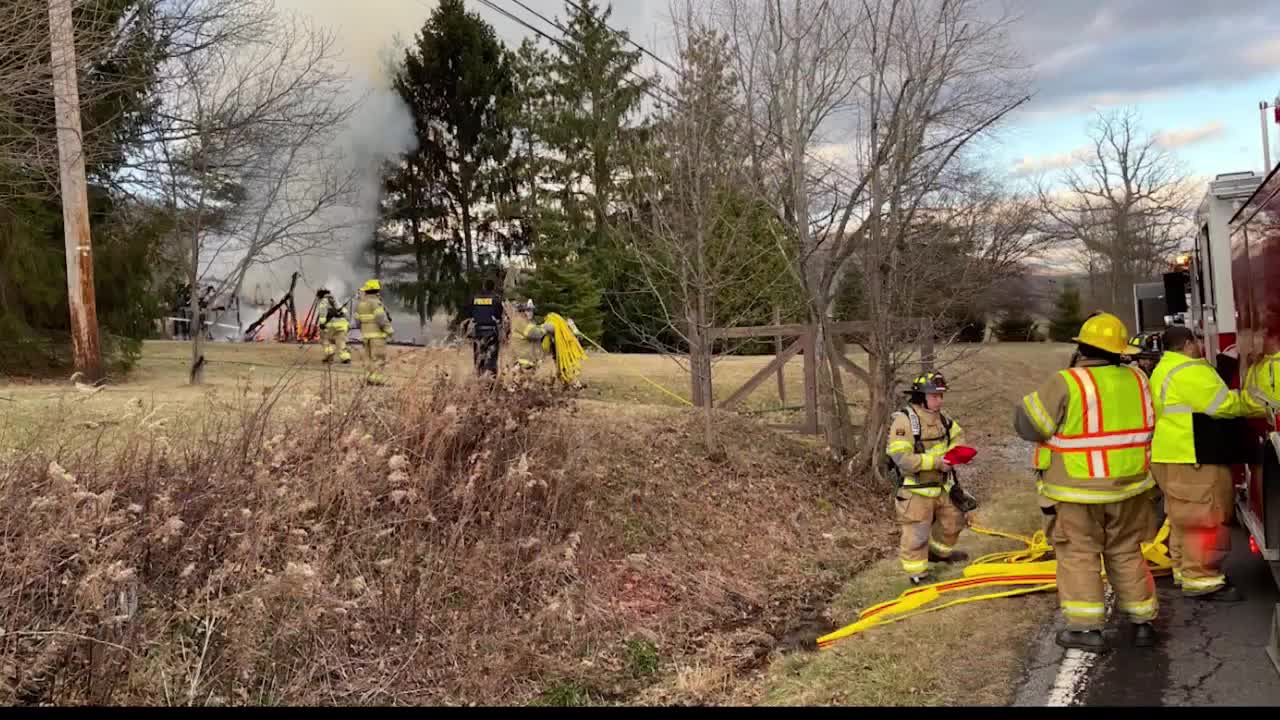 Bystanders save numerous animals, but not all from Centre County shed fire