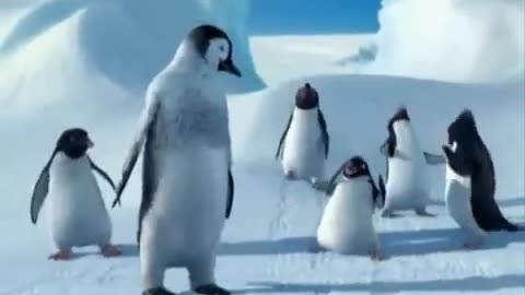 Funny Punjabi Clip Penguins talking in Punjabi dubbed.flv(360P)