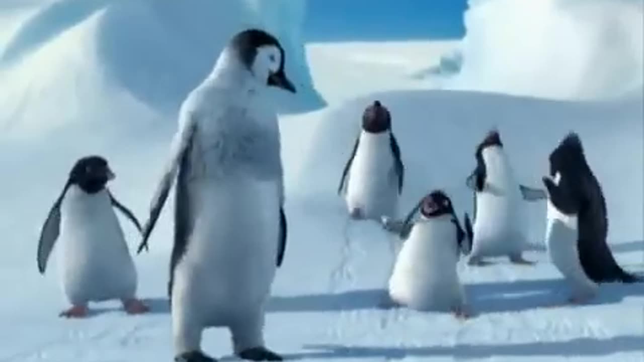 Funny Punjabi Clip Penguins talking in Punjabi dubbed.flv(360P)
