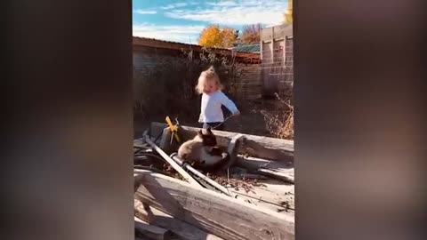 Cute Babies Play with animals