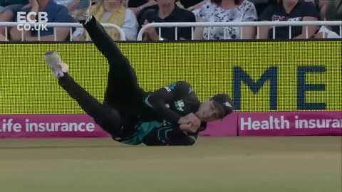 NZ VS ENG 4th t20 Highlights