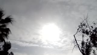 TUESDAY = WHITE DAY! May 16, 2023, 8:05am finish.