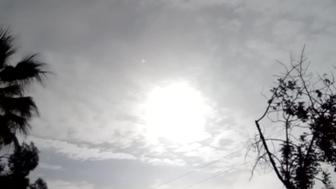 TUESDAY = WHITE DAY! May 16, 2023, 8:05am finish.