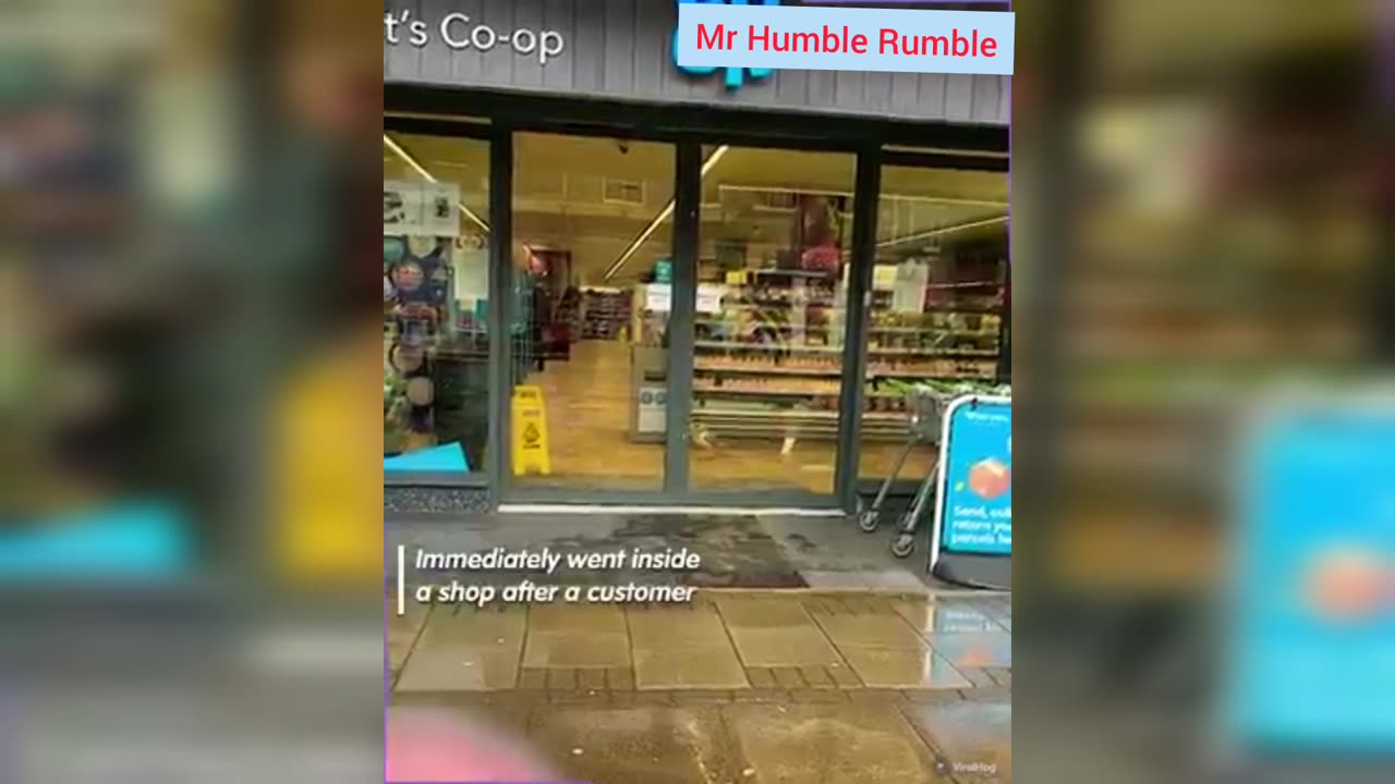 Seagull stealing snacks openly in broad daylight 😂 no fear 😘