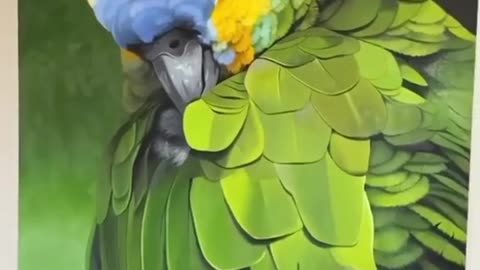 parrot easy painting