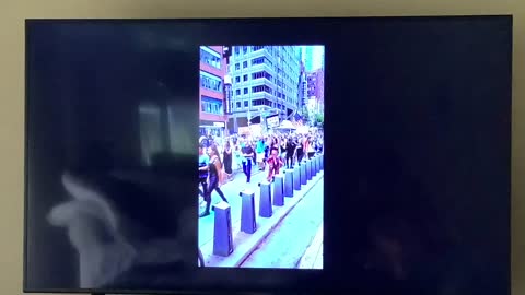 New York protestors