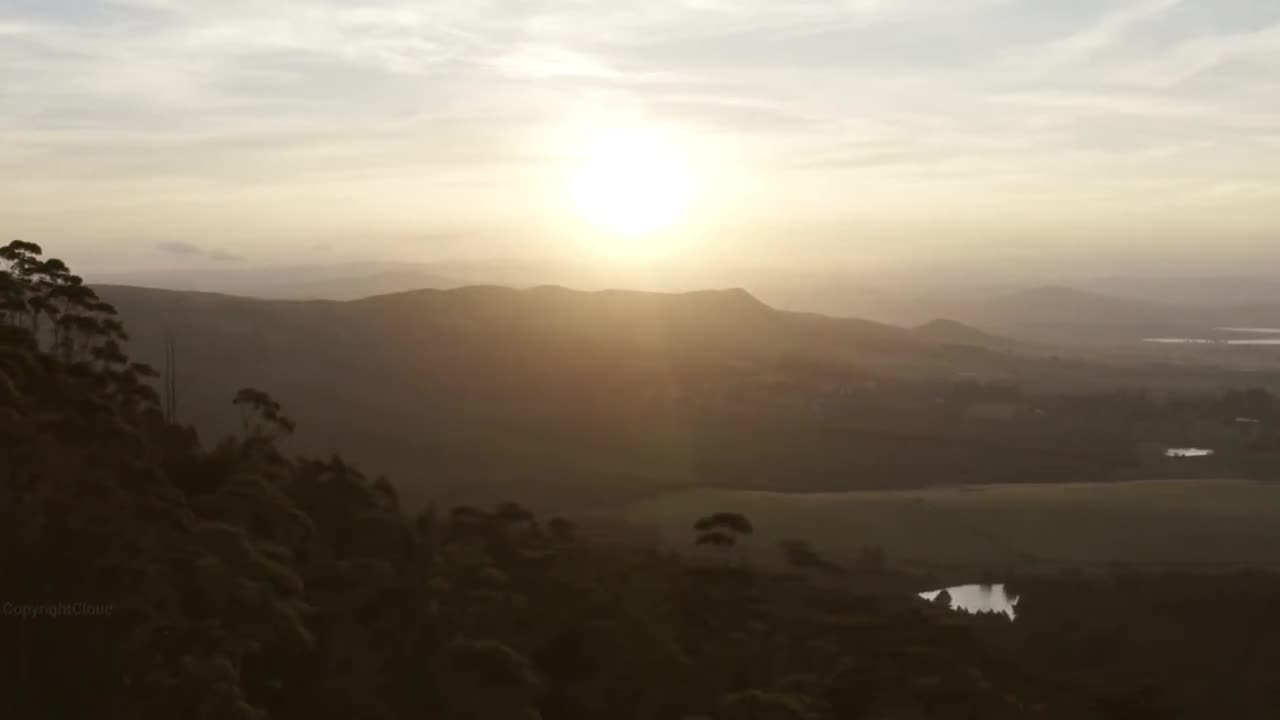 "Nature's Symphony: A Visual Ode to the Beauty of the Natural World"
