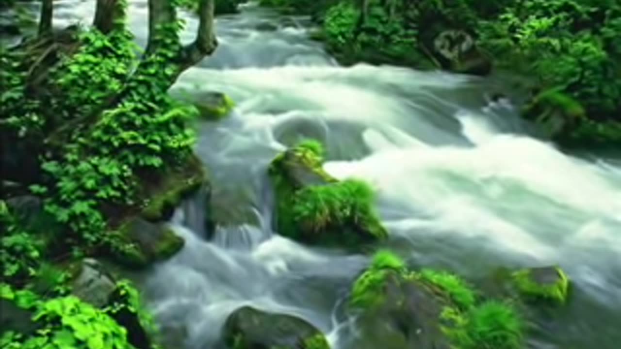 Relaxation Meditation Nature Sounds.