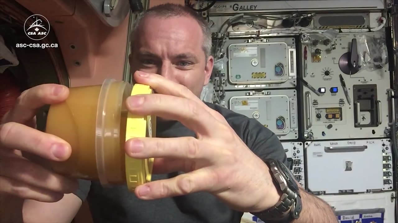 NASA Siciense :hooney in space watch this scienstist in space