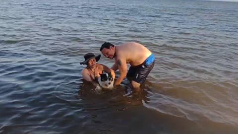 Sugar Swims