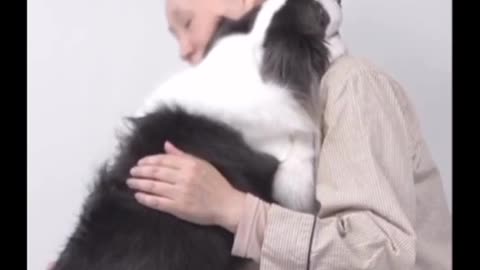 When my dog realised I got cancer #