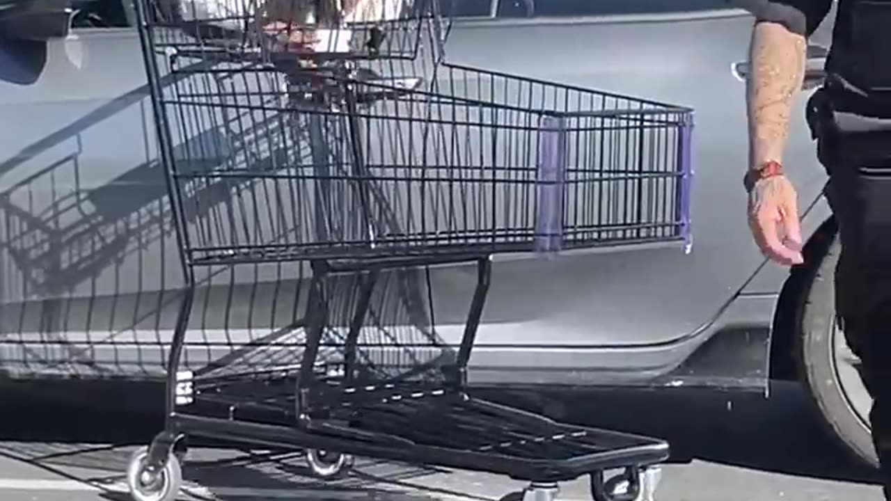 Messing with POLICE GOT HER INSTANT KARMA!
