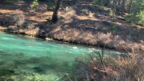 The Mud is Activating from the Sun – Metolius River – Central Oregon