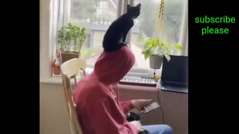The throw of this dog is amazing
