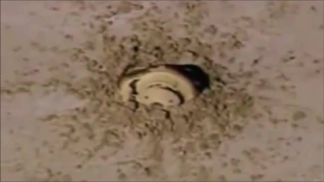 NASA Genesis Probe crashed 01152006 in Utah Desert-Real UFO Crash Caught on Camera? 👉👉👉 Follow me