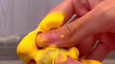 Wrong mustard bro💀