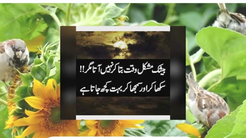 Urdu Quotes