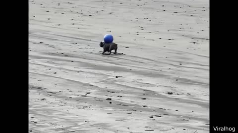 Angry Man Gets Instant Karma