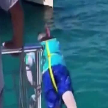 funny 2 viral , entertainment