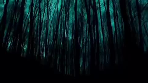 We don't have a honest world map